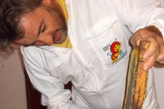 cropped-DSCN0322_ok