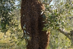 IMG_20200425_081853